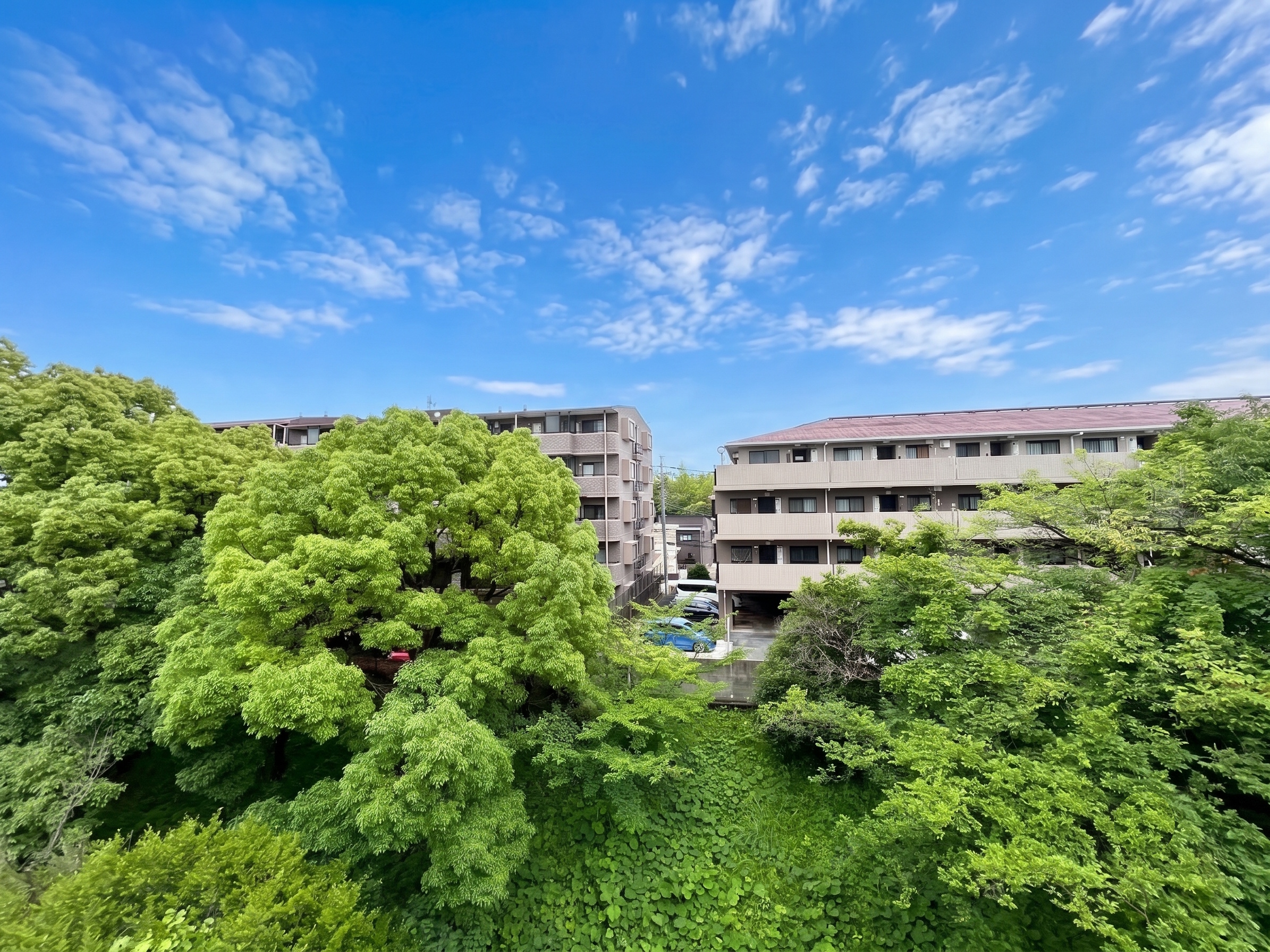 宮前平グリーンハイツ45号棟