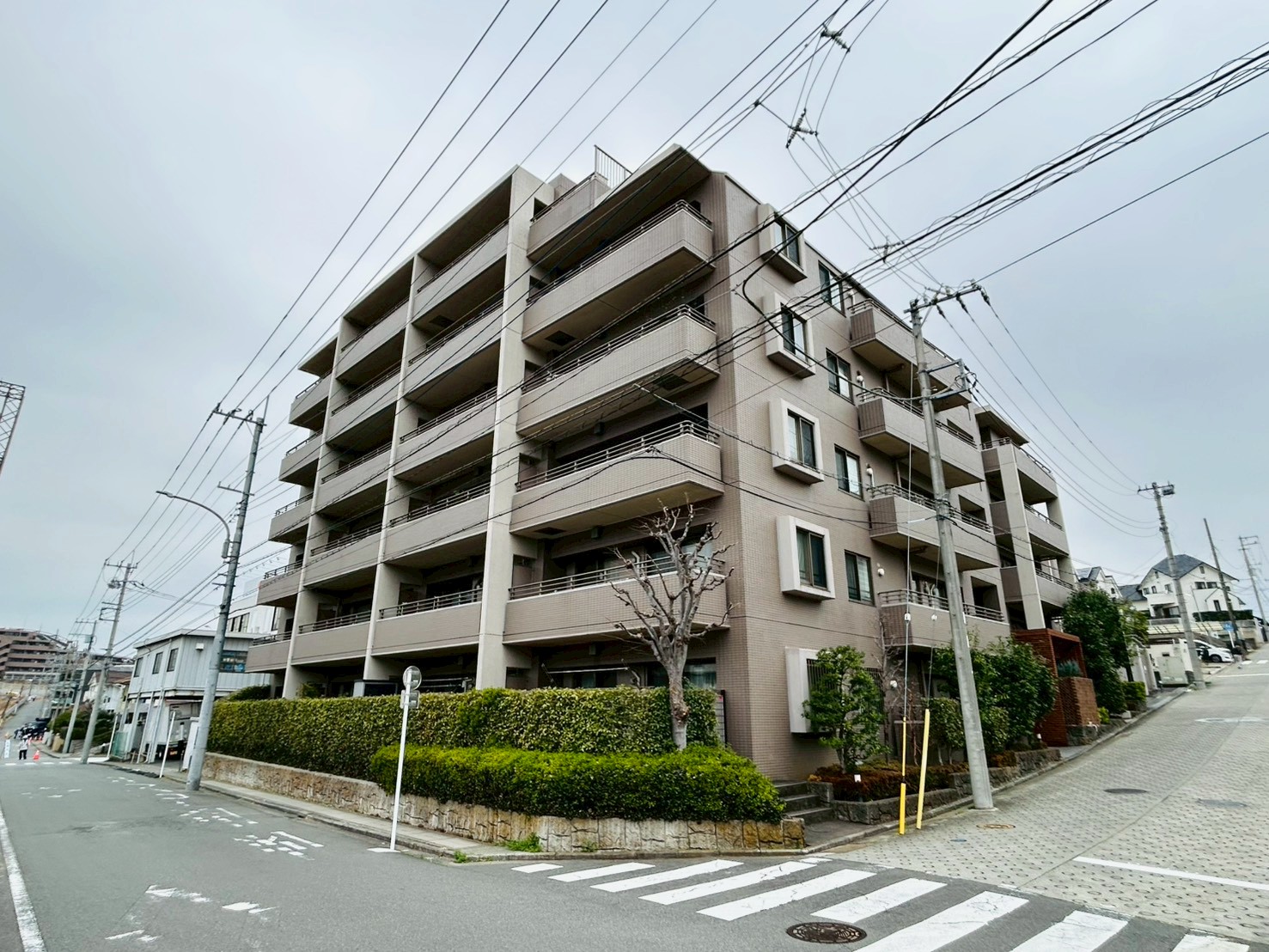ヒルズ市が尾ブライトステージ
