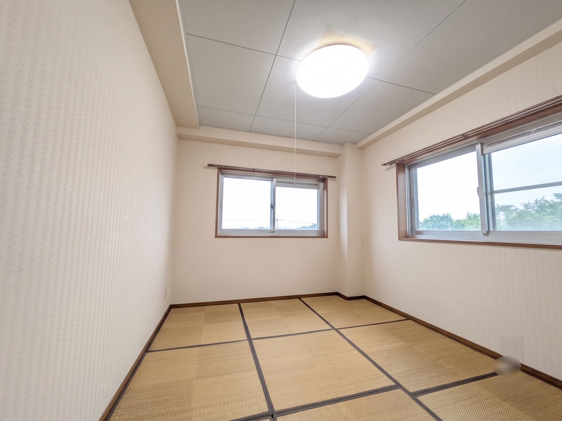 シャンボール読売ランド前D棟