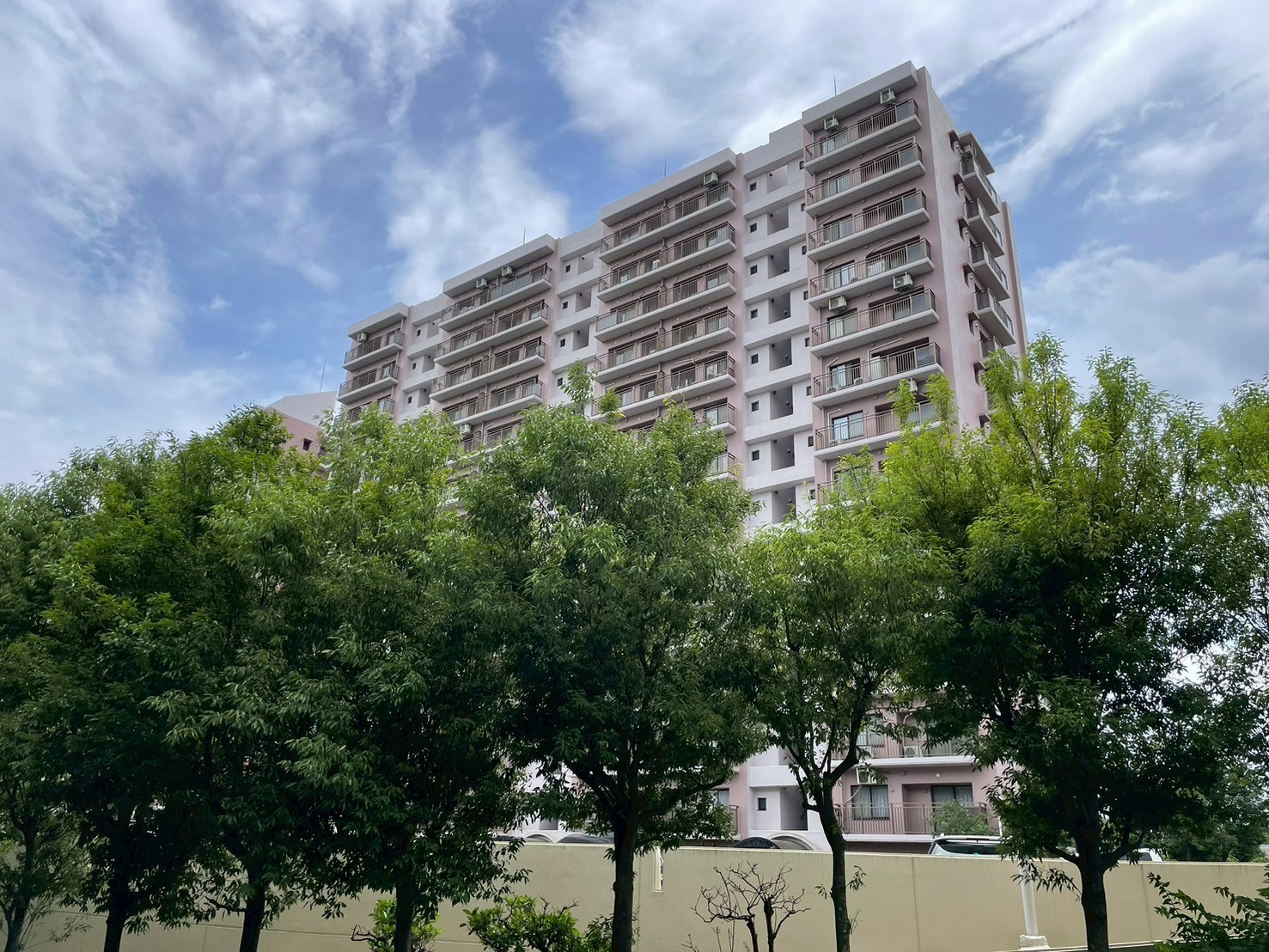 若葉台団地　31号棟