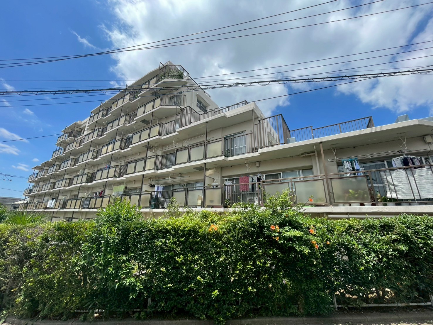 コープ野村市が尾